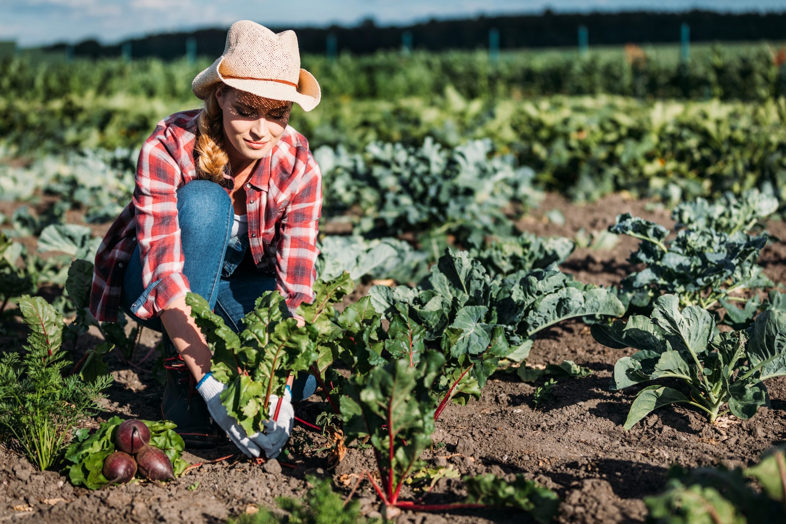 Female Farmer Tending to Specialty Crops