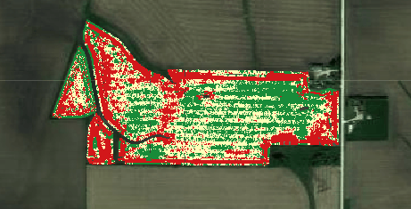 Economic heat map of a real IA field