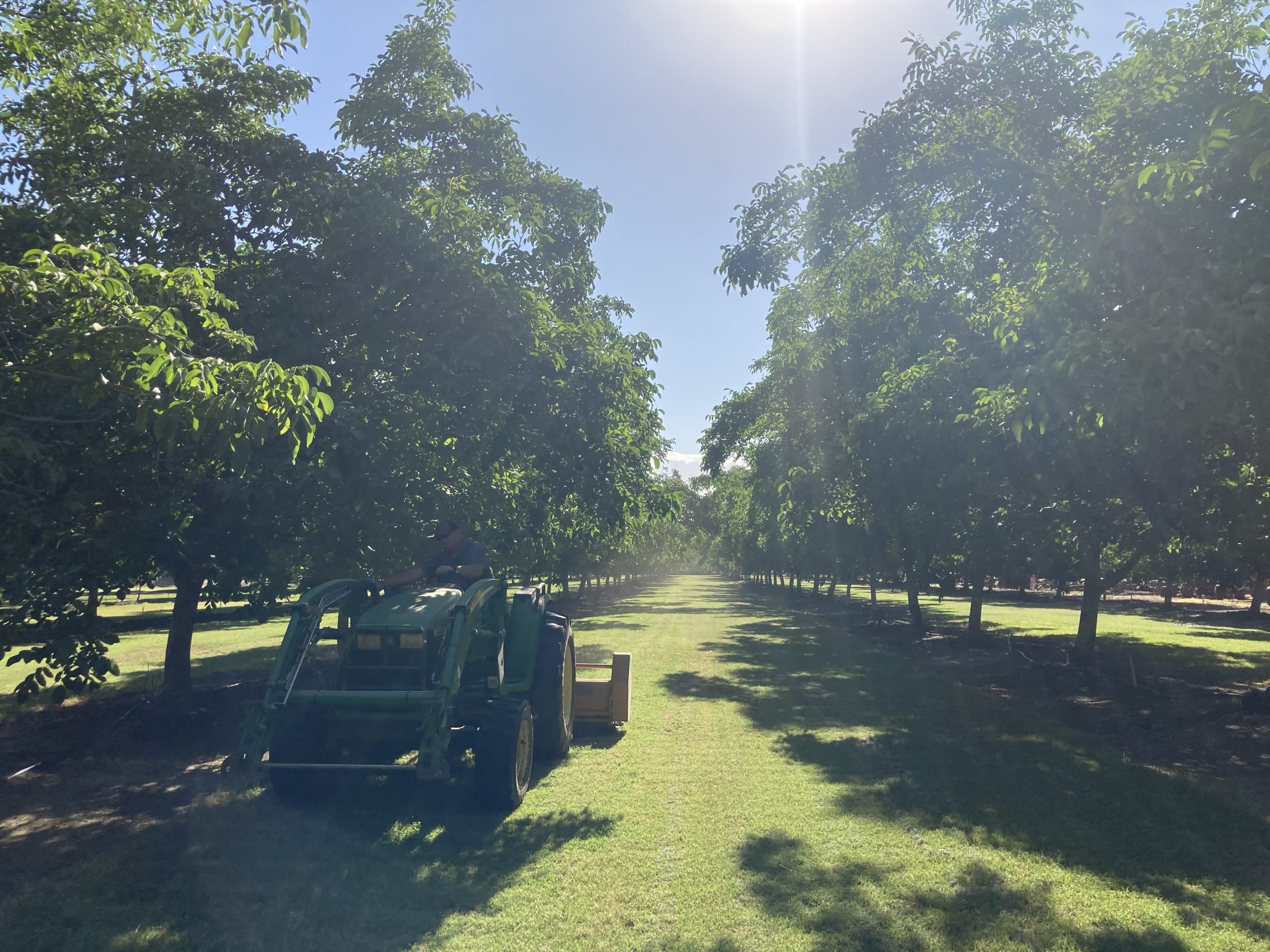 Perm crop Brody Blain the farmer on Blain Farming Co orchard spraying nut trees