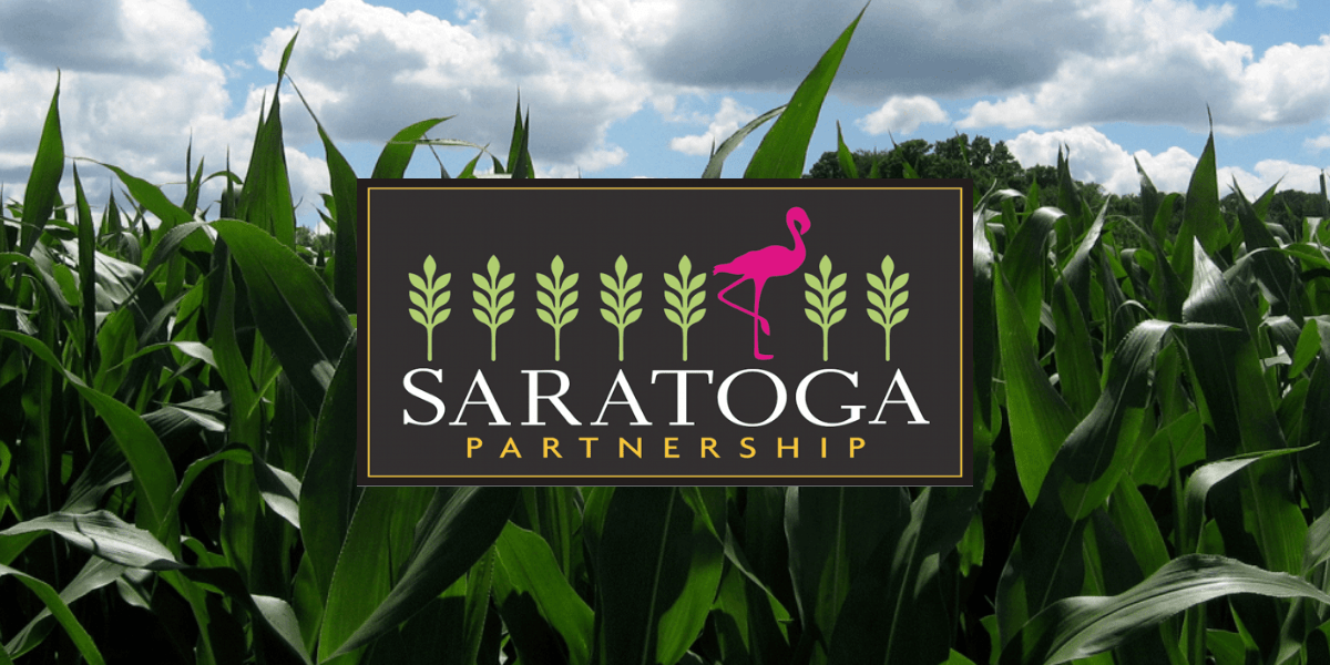 Saratoga Partnership logo in front of a cornfield