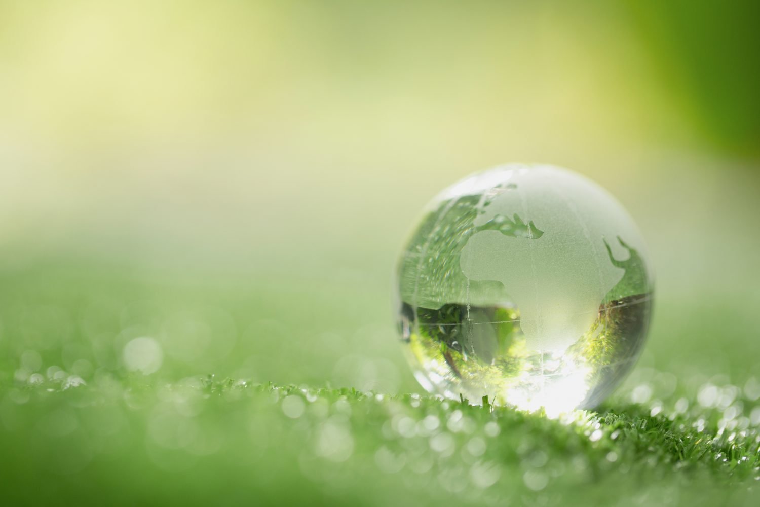 Close up of crystal globe resting on grass in a forest indicating global sustainability
