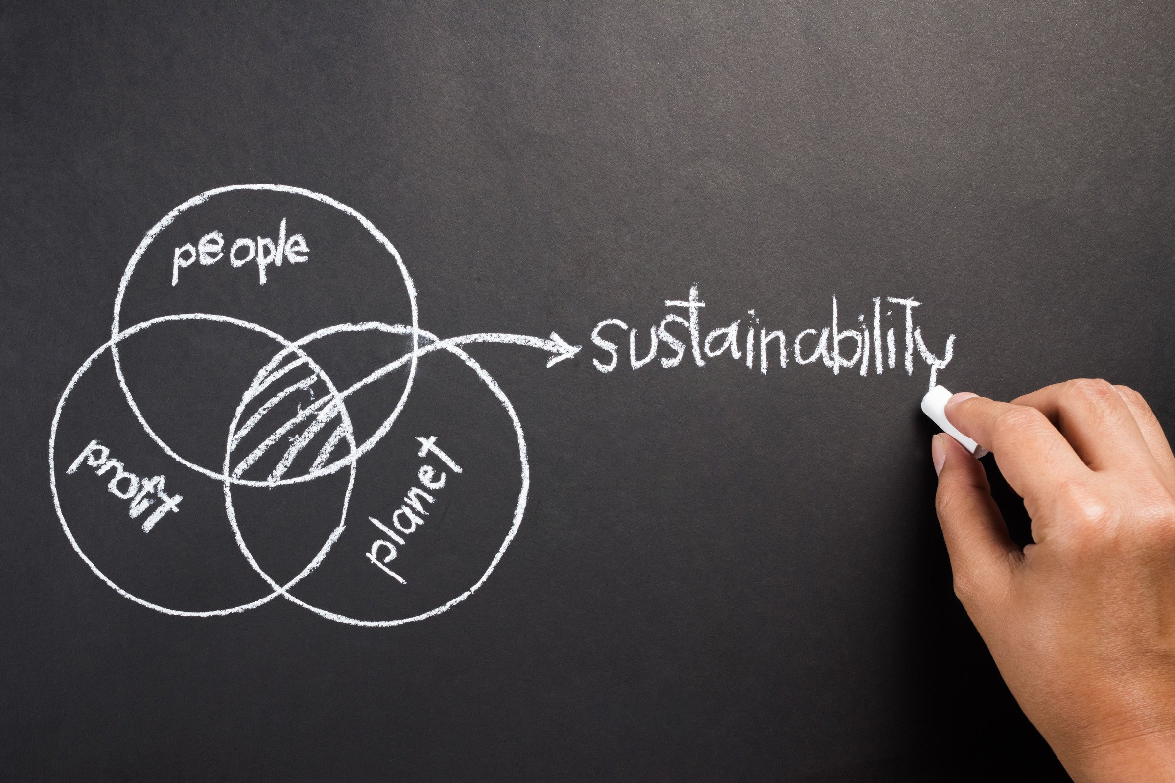 Hand drawing diagram of people, planet, profit to explain the union of Sustainable Development concept