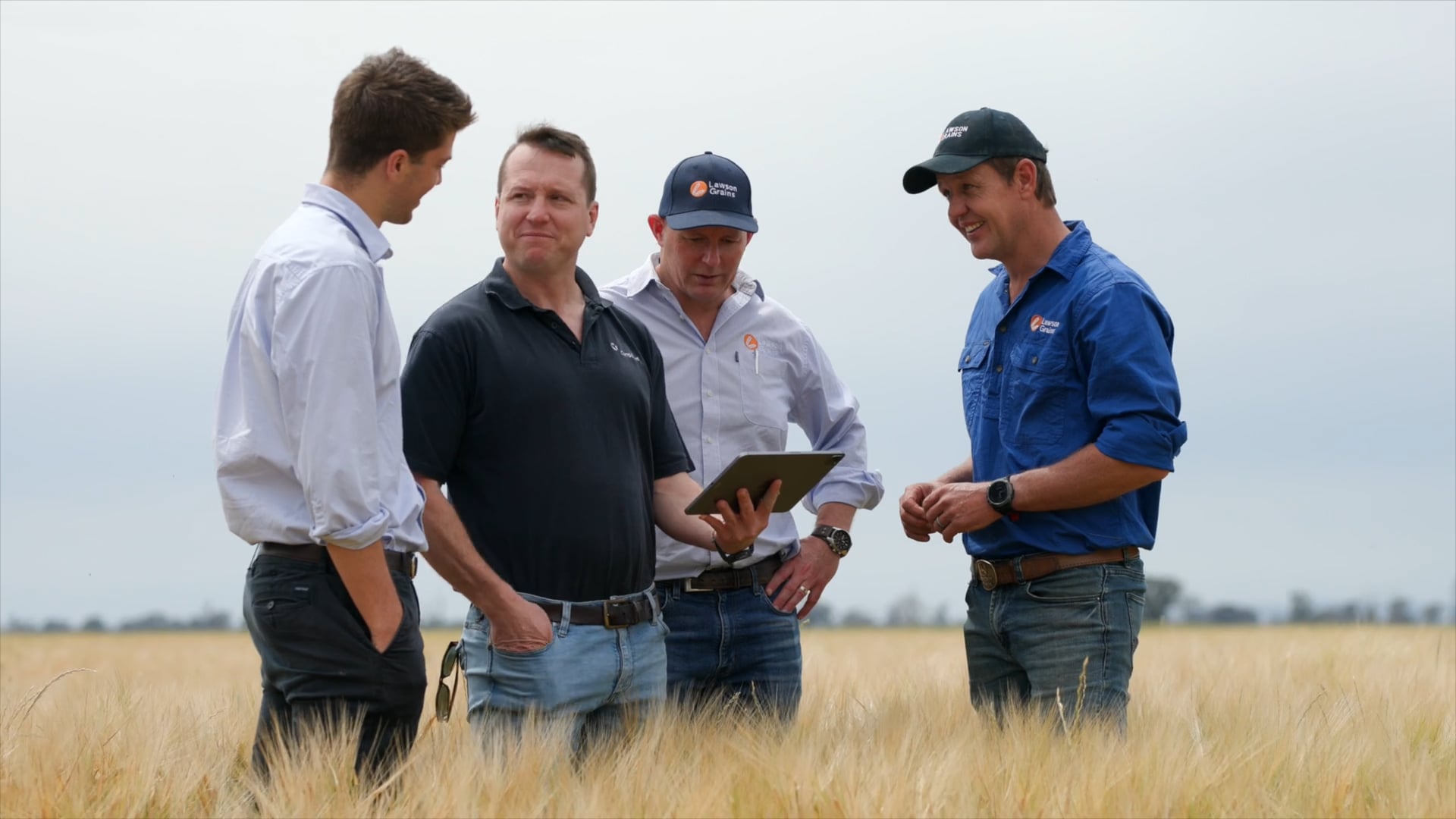 Lawson Grains